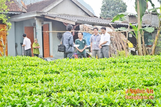 Bí kíp giảm nghèo ở Con Cuông