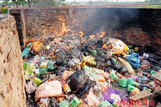 Nghệ An tiêu hủy lô hàng mỡ lợn, mực khô, sữa, thuốc kích thích giá đỗ