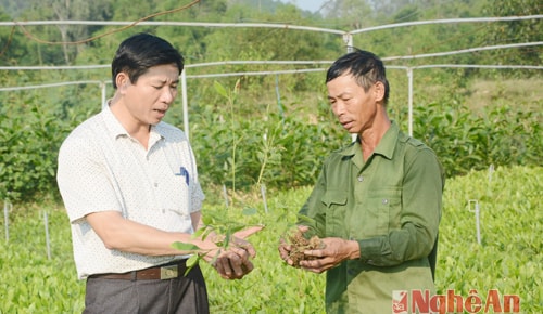 Quỳnh Lưu nhiều giải pháp nâng cao chất lượng cán bộ nữ