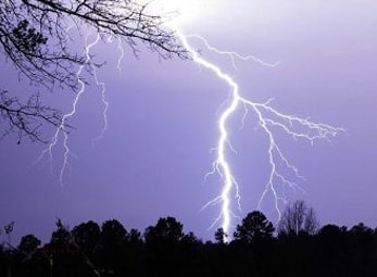 Người đàn ông đang làm vườn bị sét đánh chết