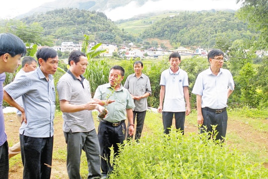 Nỗ lực đưa vùng dân tộc, miền núi tỉnh nhà phát triển nhanh, bền vững