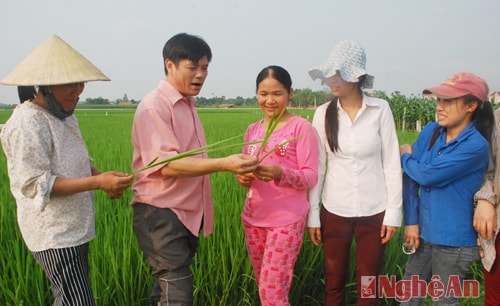 Cán bộ xã sâu sát, tận tụy ở Thanh Chương