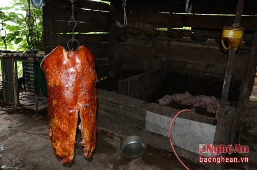 Hình ảnh kinh hoàng về lò thịt quay nổi tiếng nhất thành phố Vinh