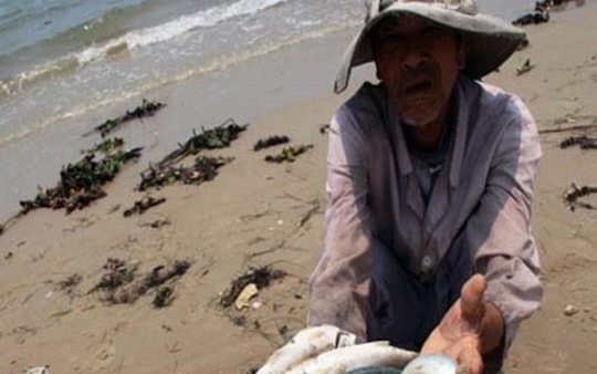 Vụ cá chết ở miền trung: Báo chí bị từ chối dự 'họp kín' của Bộ TNMT với tỉnh Hà Tĩnh