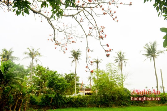 Lắng nỗi niềm đất cổ Hoàng La