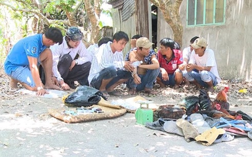 Công an triệt phá trường gà cực lớn, hàng trăm con bạc bỏ chạy