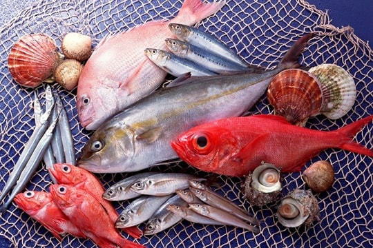 Mẹo chọn cá biển khi nguồn nước nhiễm thuỷ ngân