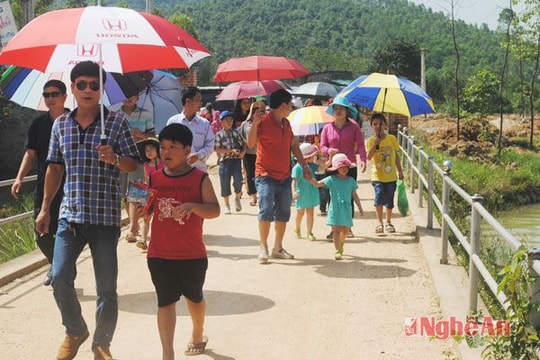 Khám phá Safari, nhiều quà mê li