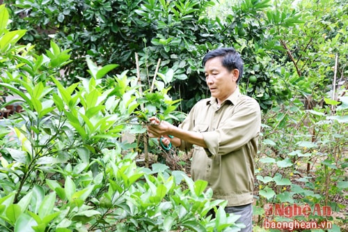 Bí thư 'miệng nói tay làm'