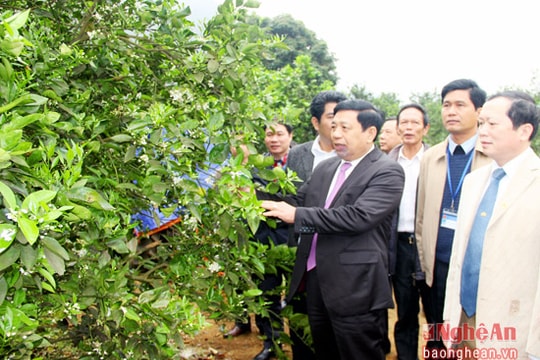 Động lực lớn khích lệ phong trào xây dựng nông thôn mới