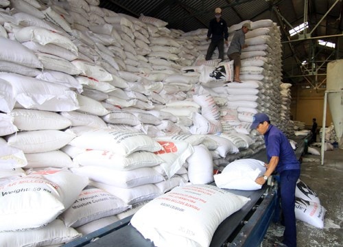 Nghệ An được hỗ trợ hơn 2510 tấn gạo