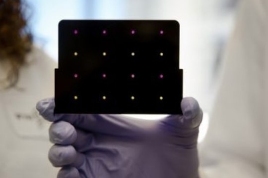 Đã có liệu pháp cực rẻ giúp phát hiện virus Zika