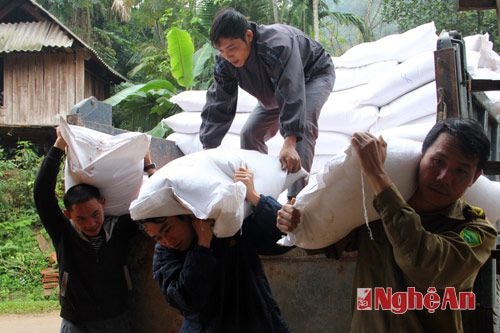 Quế Phong: Hơn 6.000 hộ được nhận gạo cứu đói