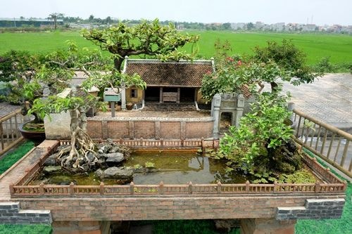 Ngỡ ngàng nhà 2 mét vuông có sân vườn, ao bèo