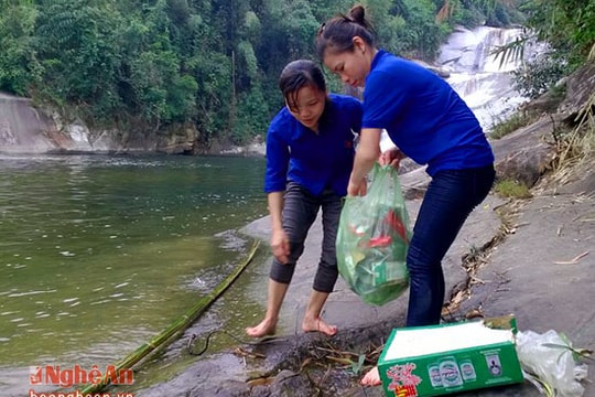 Thanh niên tình nguyện thu gom rác trên thác 7 tầng