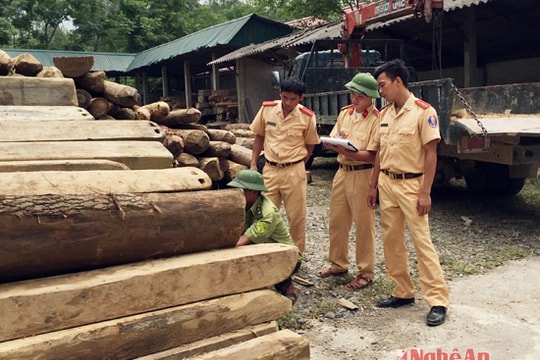 Nghệ An: 15 khối gỗ ngụy trang trong bè nứa trôi trên sông Lam