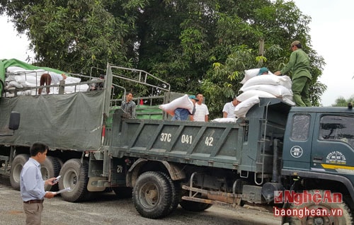 Cấp hơn 440 tấn gạo cứu đói cho người dân Quỳ Châu