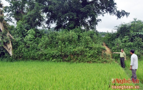 Về nơi 'con trời' hạ cánh ở Nghệ An