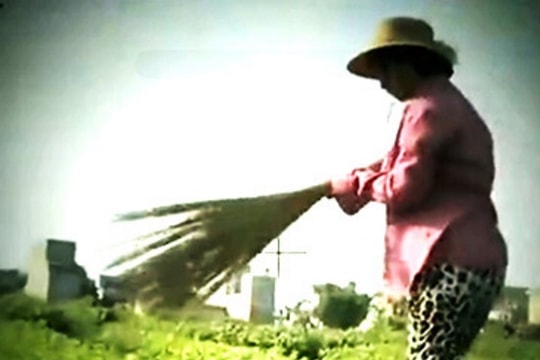 VTV bị phạt 50 triệu đồng, buộc cải chính, xin lỗi vụ 'cây chổi quét rau'