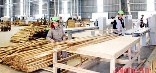 Nhà máy gỗ MDF Nghệ An xuất khẩu lô hàng đầu tiên đạt tiêu chuẩn châu Âu