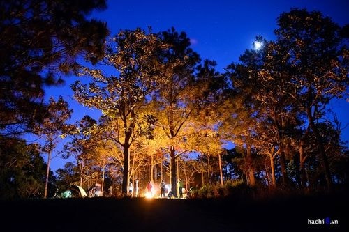 Xuyên rừng trên cung trek đẹp nhất Việt Nam