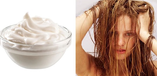 Sữa chua giúp trị gàu hiệu quả?