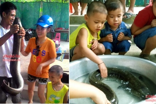 Đi dã ngoại ở Nghệ An bắt được cá lệch 'khủng' dài gần 1,5 m