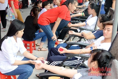 341 đơn vị máu được hiến trong ngày hội đầu hè