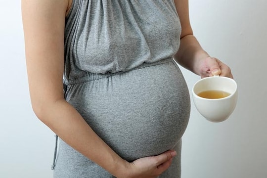 Bà bầu uống nước trà xanh có an toàn?