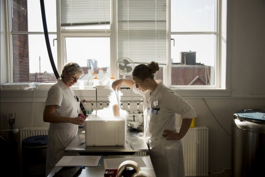 Bí mật đằng sau ngân hàng tinh trùng lớn nhất thế giới