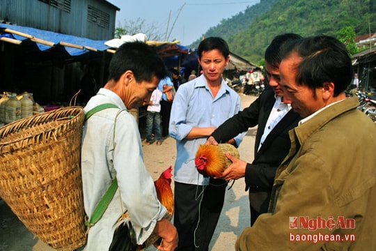 Cuốn hút với gà 'kẹp nách' của đồng bào miền Tây Nghệ An