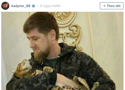 Người đứng đầu Cộng hòa Chechnya lên Instagram nhờ tìm mèo