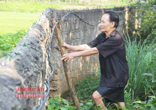 Hạ tầng lưới điện 'đạt' chuẩn Nông thôn mới: 3 năm chưa dứt nỗi lo