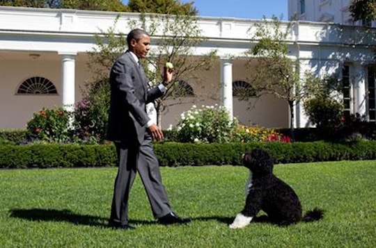 Thăm khu vườn trong 'nhà' Tổng thống Obama