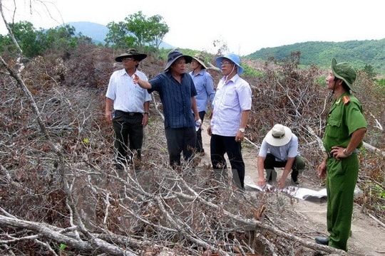 Khởi tố vụ án phá rừng