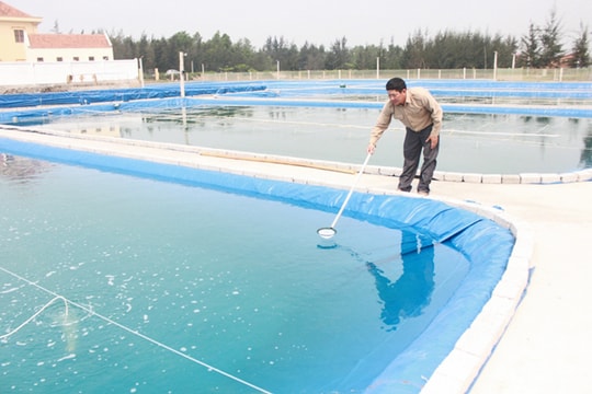 Tỷ phú nông dân Thái Bá Khang