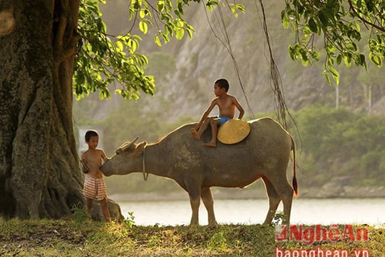 Vui ngày hè cùng trẻ mục đồng xứ Nghệ