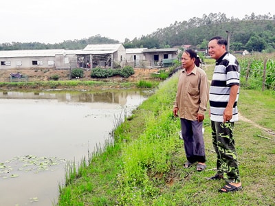 Làm giàu từ đất khó