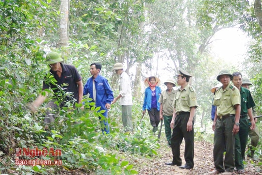 Chính sách bảo vệ và phát triển rừng gắn với chi trả dịch vụ môi trường rừng