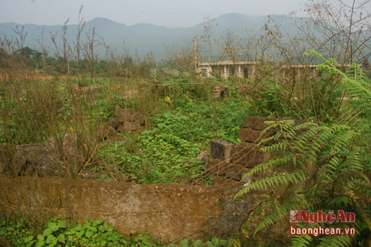 Hoang tàn dự án tái định cư 83 tỷ ở Thanh Chương