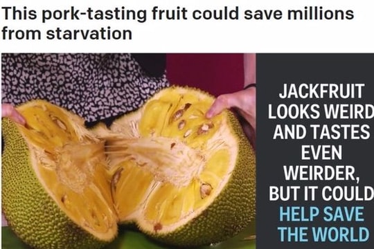 Báo Mỹ nói về quả mít Việt Nam: Giúp cứu đói cho hàng triệu người