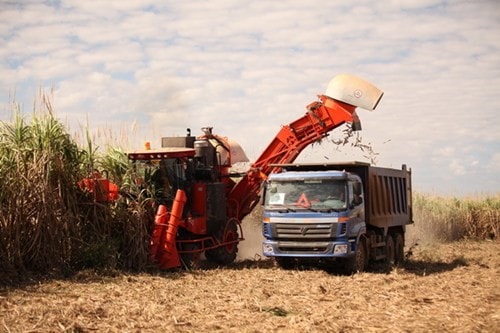 Bầu Đức sắp trồng cây ăn quả và làm nước ép