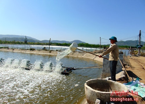 Cán bộ mặt trận làm kinh tế giỏi