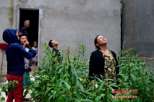 Kỳ lạ tập tục nuốt hoa vừng ngày tết Đoan Ngọ