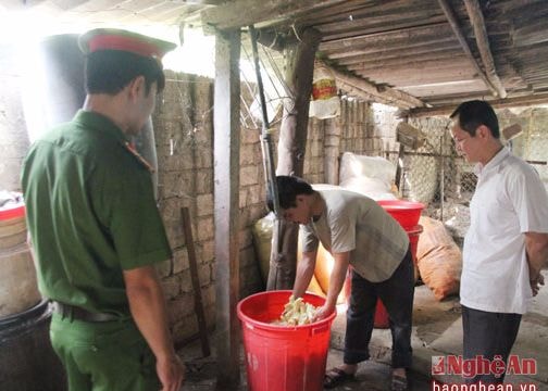 Nghệ An: Thu giữ 3 tấn măng 'ngậm' hóa chất