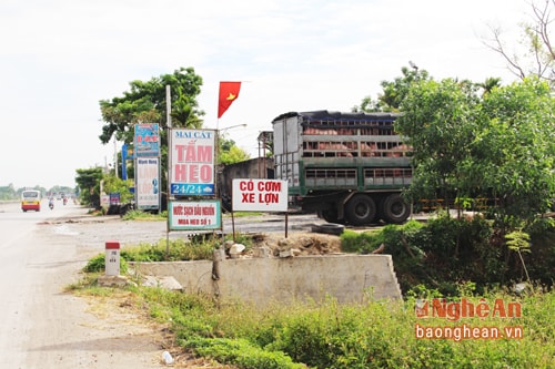 Nghề 'tắm heo' trên quốc lộ 1A