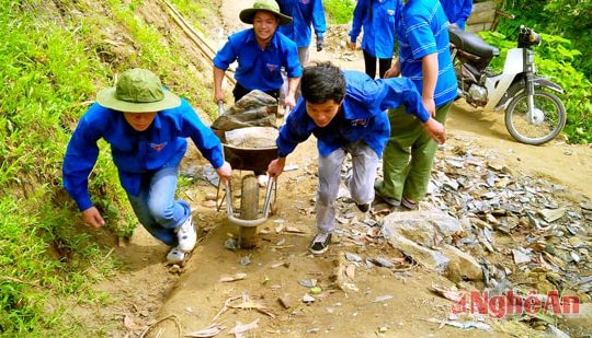 [Infographics] Các hoạt động chính trong chiến dịch tình nguyện hè 2016
