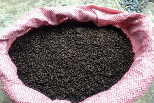 Đắt khách như phân...dơi