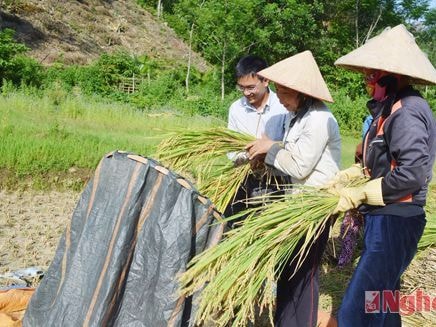 Nghệ An chủ động bố trí lại chức danh Phó Chủ tịch UBND xã theo quy định