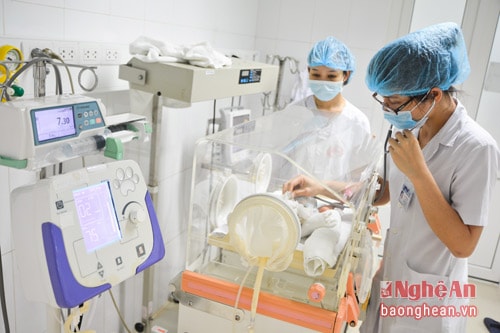 Bị chó dại cắn, sản phụ tử vong, con sinh non nguy kịch